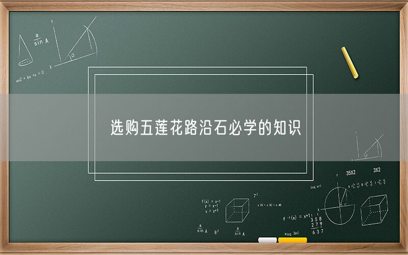     選購五蓮花路沿石必學(xué)的知識(shí)  (圖1)