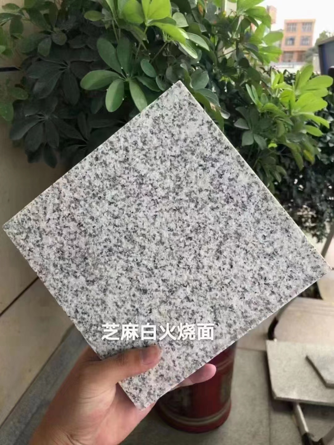 白色大理石花崗巖產(chǎn)地及價(jià)格(圖3)